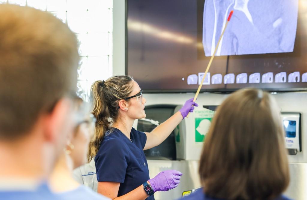 A student in blue scrubs uses a pointer to point to an area on an anatomical im年龄